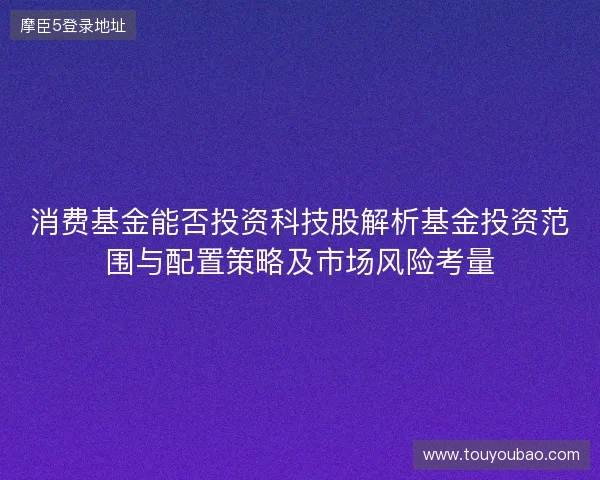 消费基金能否投资科技股解析基金投资范围与配置策略及市场风险考量 消费基金能否投资科技股解析基金投资范围与配置策略及市场风险考量