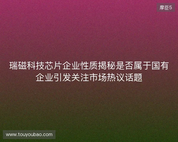 瑞磁科技芯片企业性质揭秘是否属于国有企业引发关注市场热议话题 瑞磁科技芯片企业性质揭秘是否属于国有企业引发关注市场热议话题