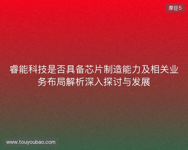 睿能科技是否具备芯片制造能力及相关业务布局解析深入探讨与发展